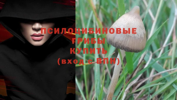 шишки Богданович