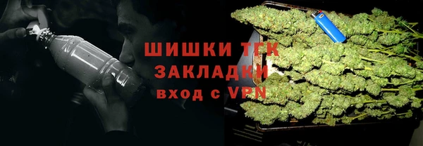 шишки Богданович