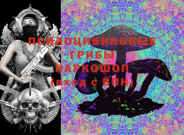 шишки Богданович