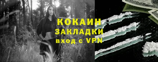 ALPHA PVP Богородицк