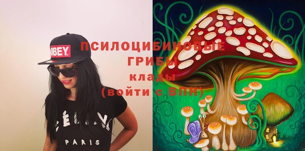 шишки Богданович