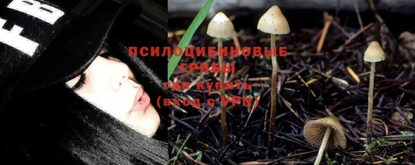 шишки Богданович