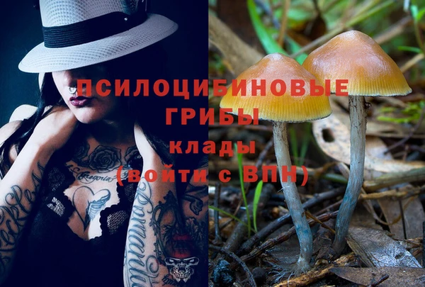 ALPHA PVP Богородицк