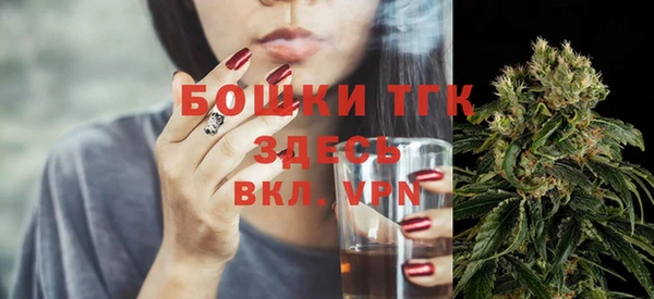 крисы Богородск
