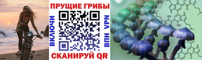 KRAKEN ссылка  Донецк  Псилоцибиновые грибы Psilocybe  купить  сайты 